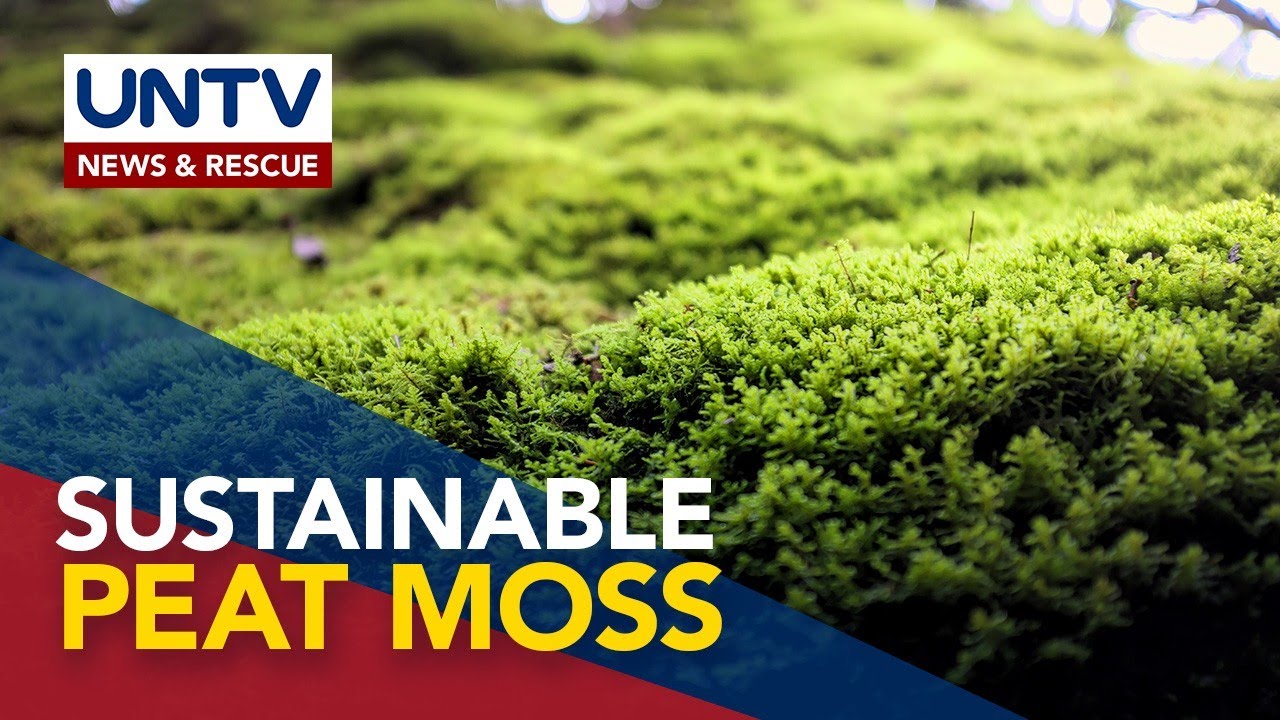 German scientists establish world&rsquo;s largest collection of moss species