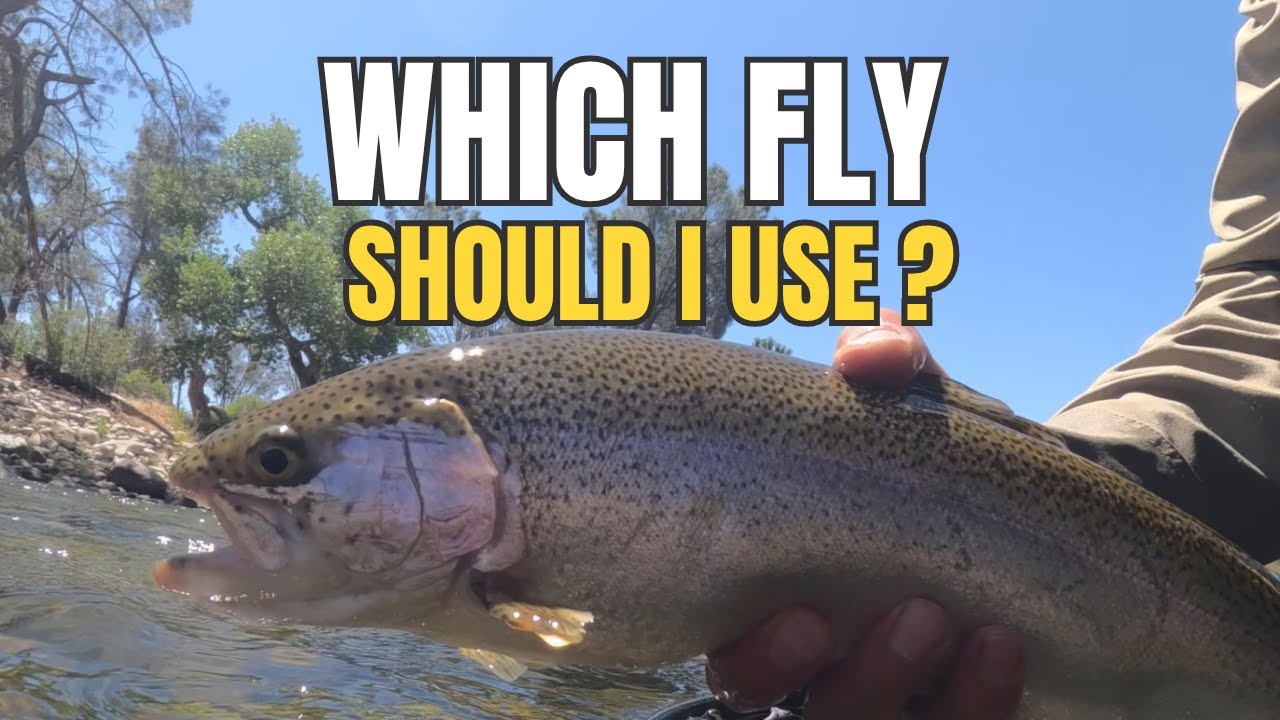 Why You're Probably Fishing Kern River WRONG Here's What to Do