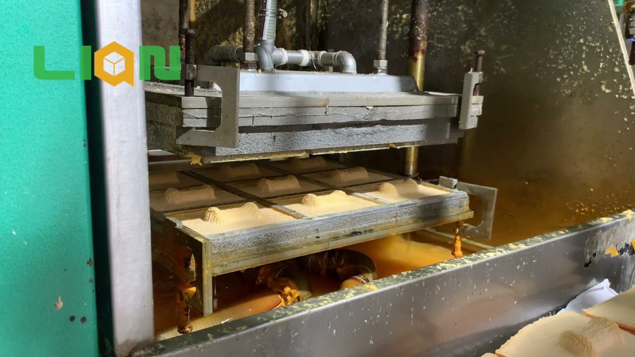 Lian Pack | Pulp Molded Packaging Forming Process