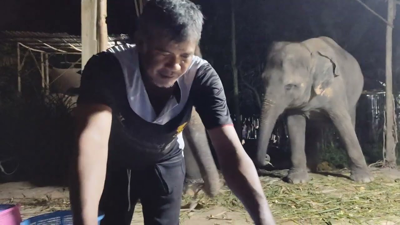ผลไม้ค่ำคืนนี้🙏🙏กราบขอบคุณคุณป้าอี๊ดและคุณลุงค่ะ♥️♥️🐘🐘🍉🍍🍌