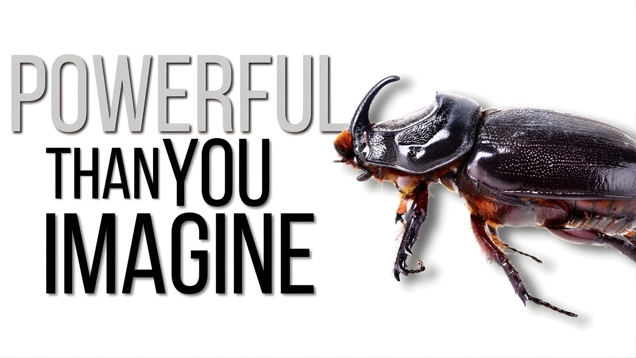 TOP-10 | Most Powerful Animals In The World | Powerful Animals
