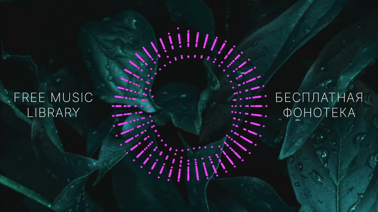 TrackTribe - Lost At Sea