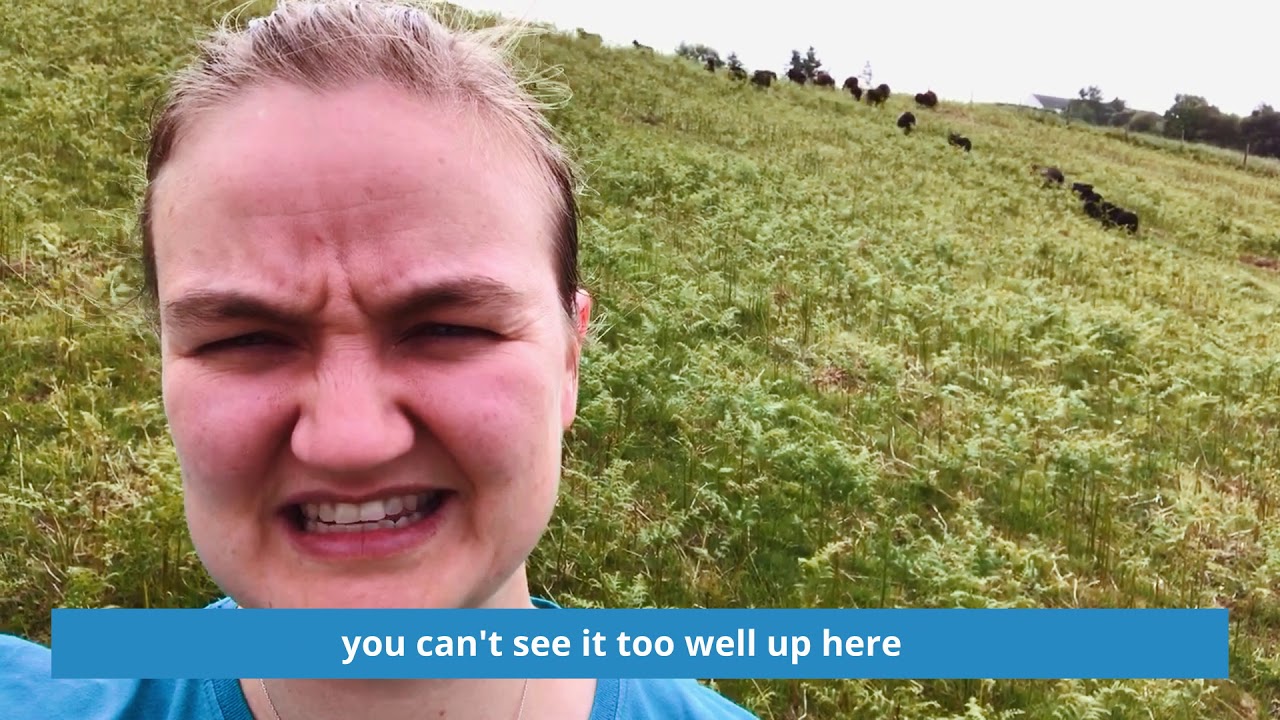 VLOG - Crofting Improvements