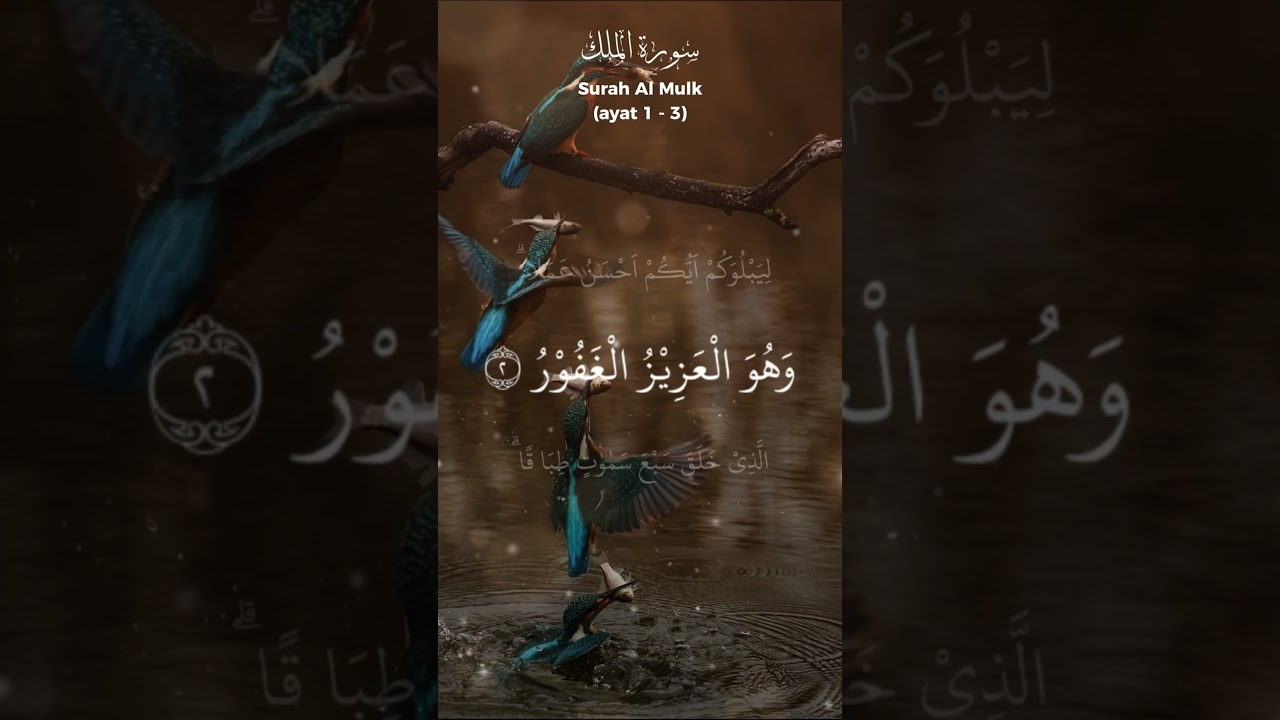 The Beautiful Recitation of Surah Mulk You Need to Hear