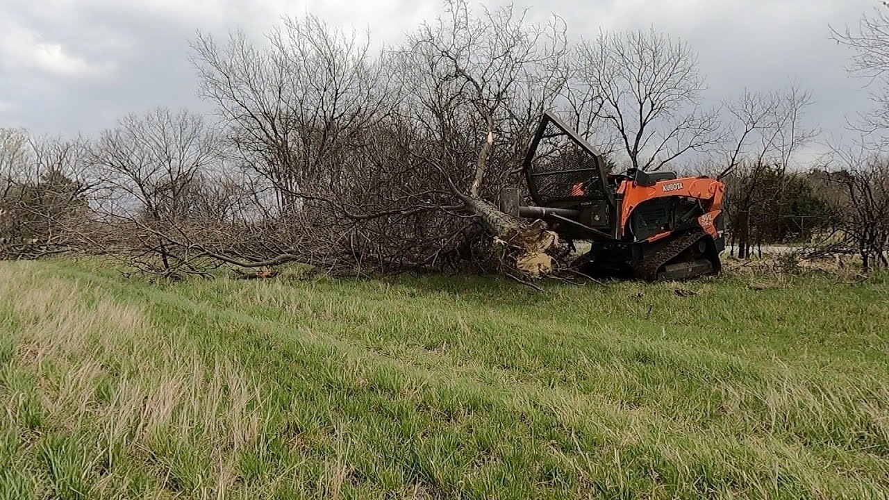Kubota SVL 95-2 and Ground Force Tree Saw Side Clearing Fence Row!