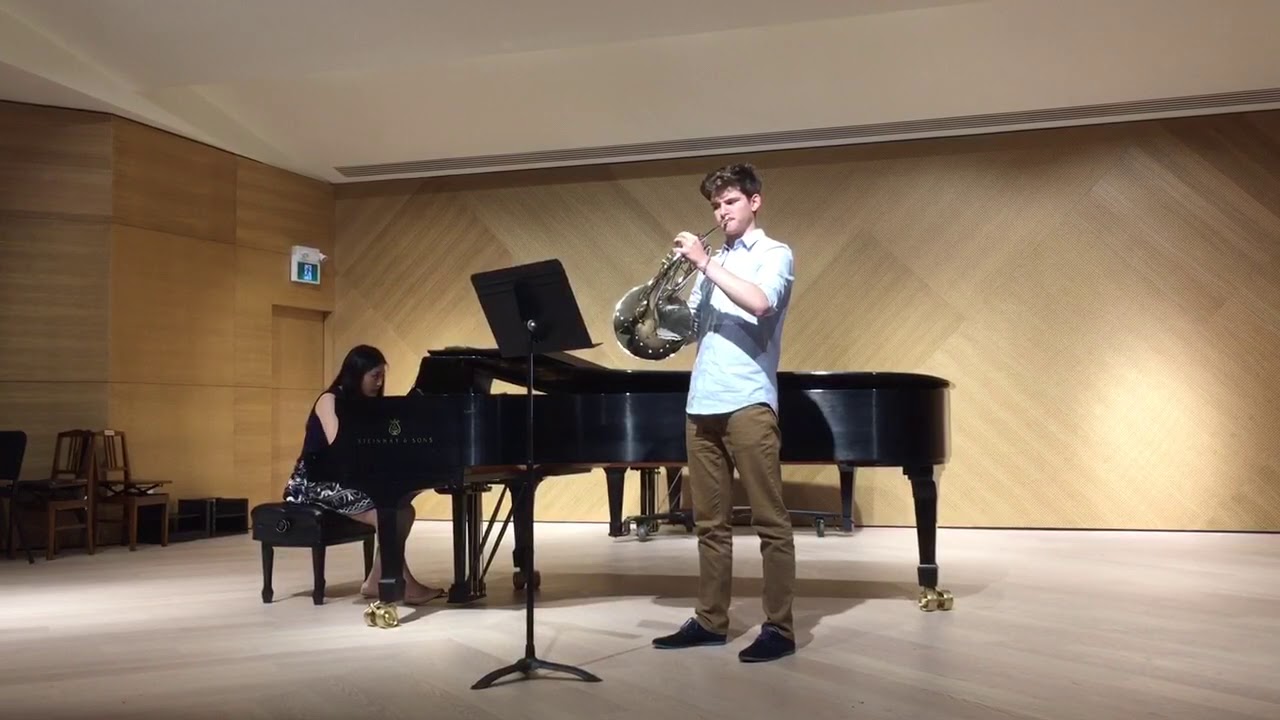 Mozart’s horn concerto #3 Romanze