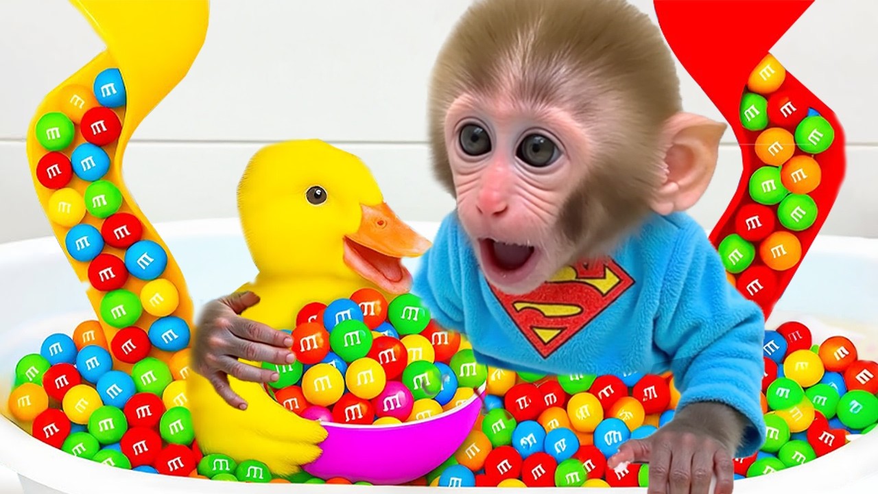 Mono Bon Bon y su Gran Aventura con Huevos de Chocolate Multicolores 🐒🥚🌈