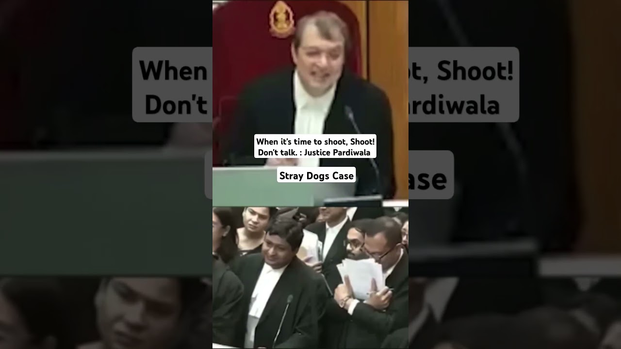 Stray dogs case | Supreme Court Hearing | Justice Pardiwala #court #indiancourt #news #judiciary