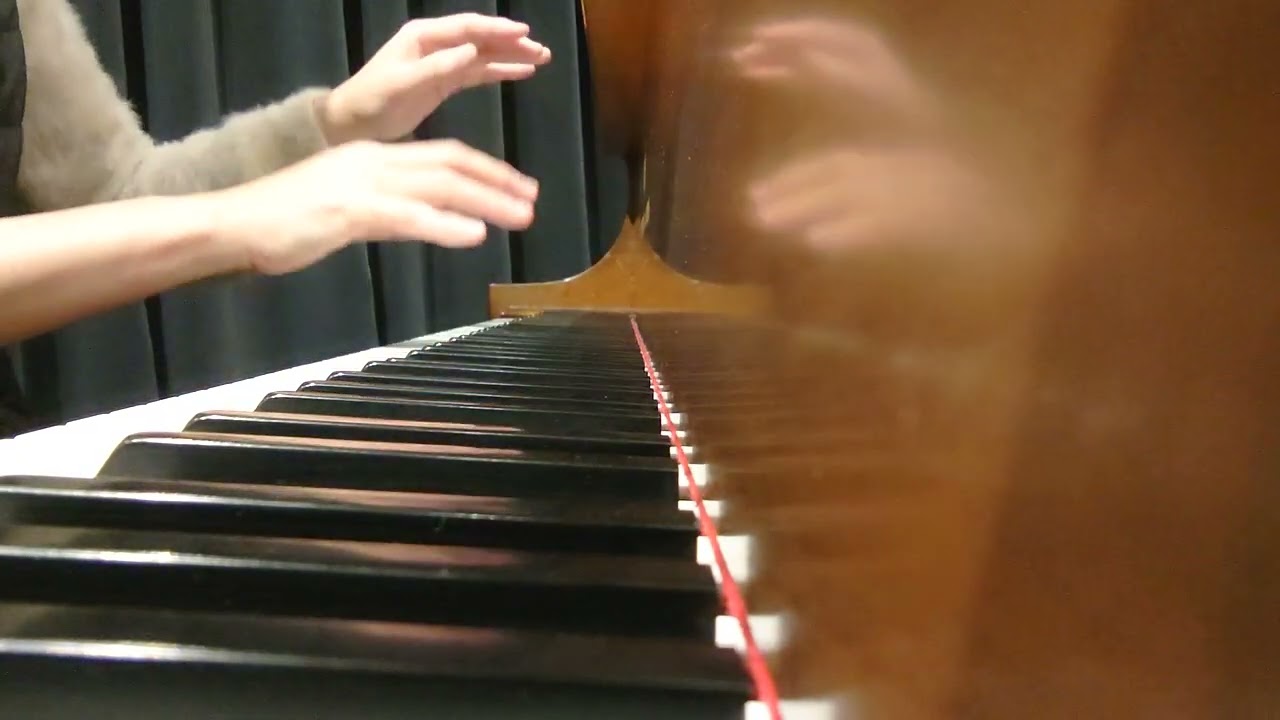 素人ピアノ　ベートーヴェン　熱情第三楽章　リハビリ348