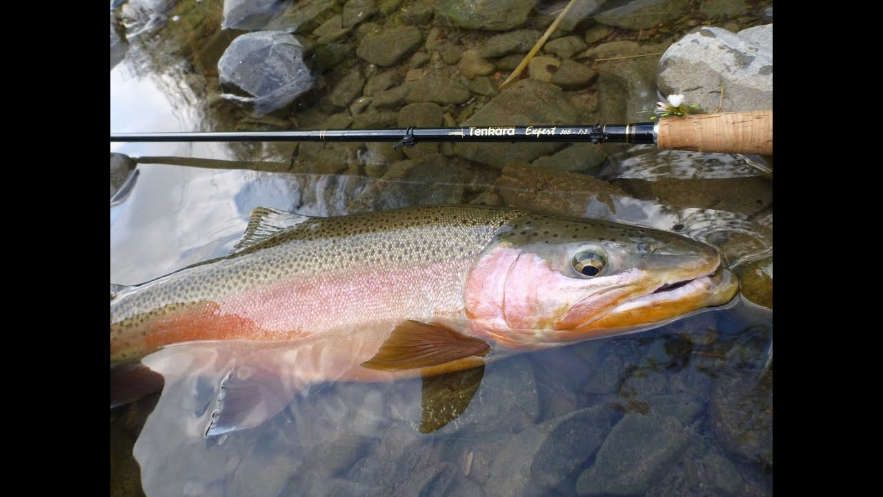 Tenkara Xtreme part 2 