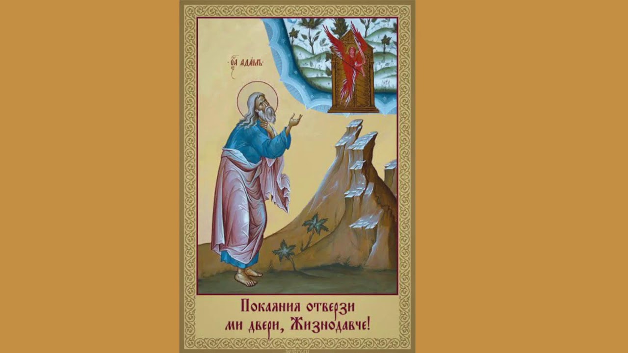 Bohoslužba z katedrály