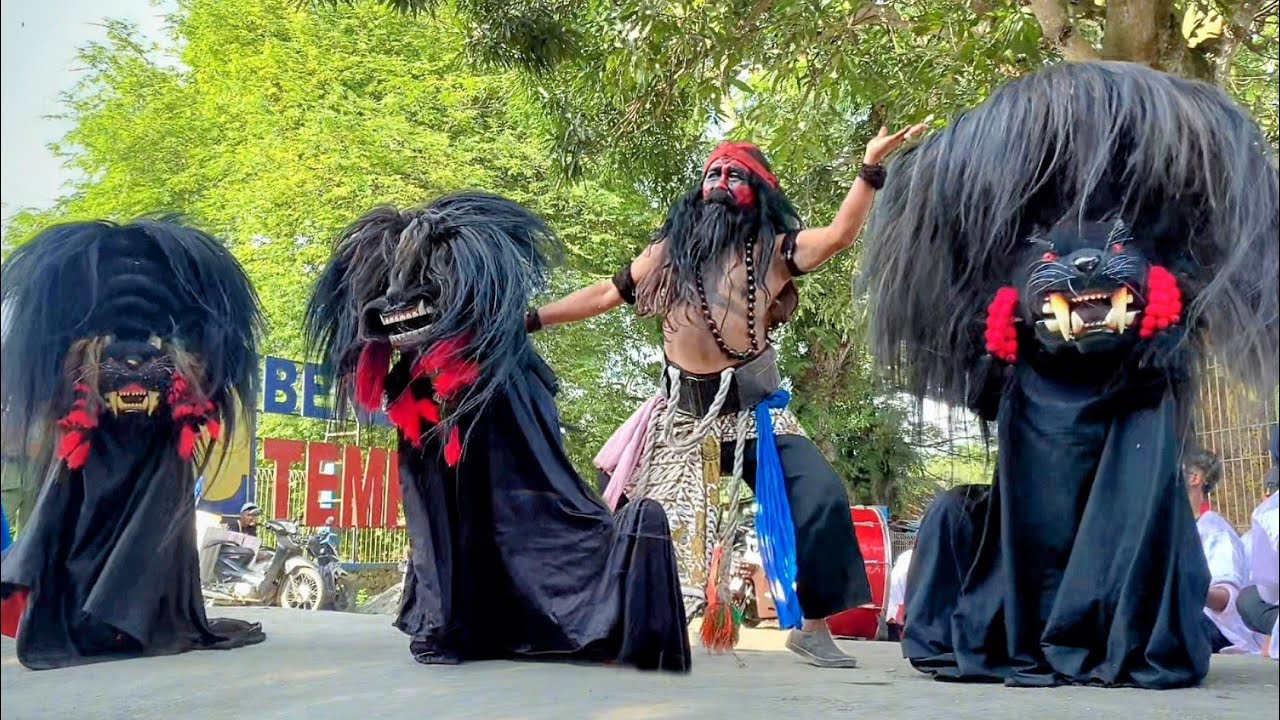 Keseruan Aksi Rampak Barongan Ireng Seni Barong SATYO SINGO MUDO live Tempuran