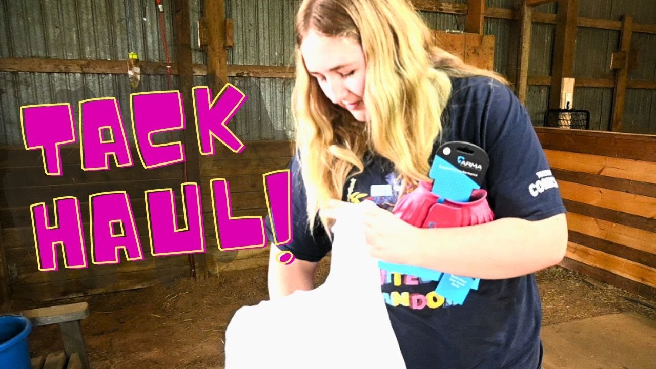 Tack  Haul For The New Horse!