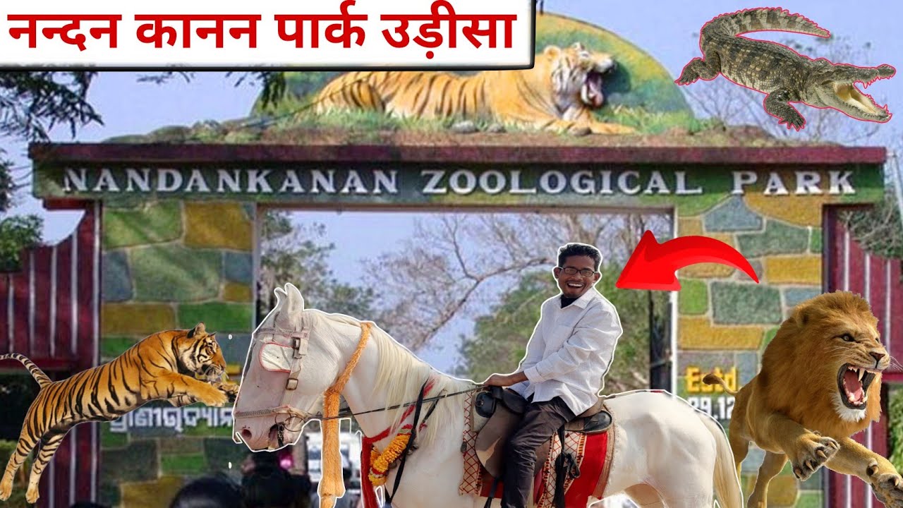 नन्दन कानन पार्क उड़ीसा //nandan kanan zoological park bhubaneshwar Odisha 2024-25