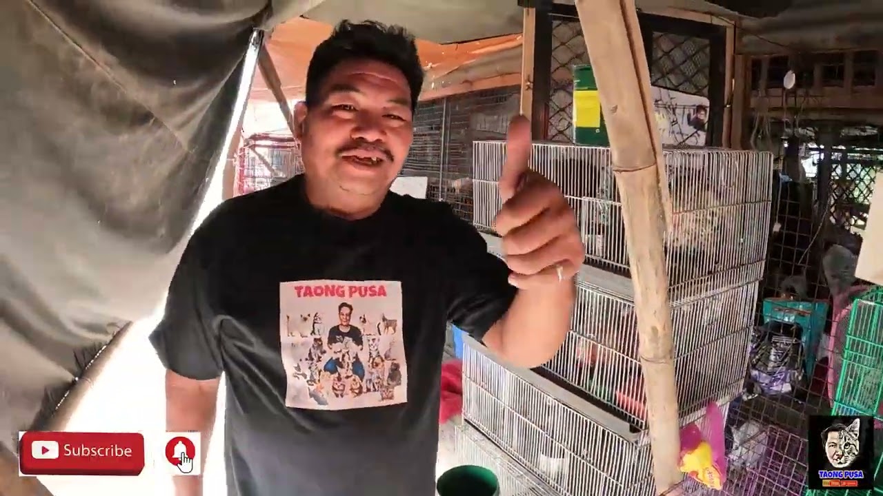 PETS AND ANIMALS MARKET IN THE PHILIPPINES VERY CHEAP PRICES PULONG GUBAT GUIGUINTO BULACAN vlog#591