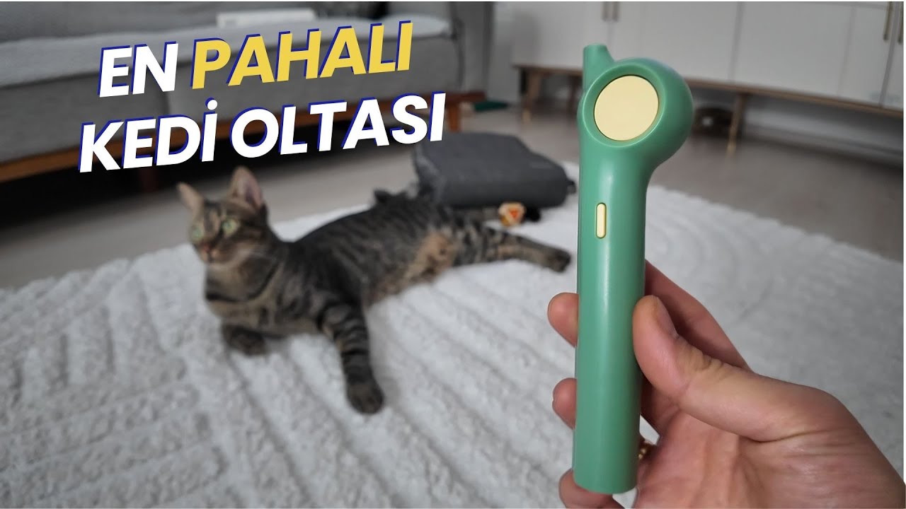 ALDIĞIM EN PAHALI KEDİ OLTASI 😱 (Pahalı Kedi Oyuncağını Kedilerimizle Beraber Denedik)