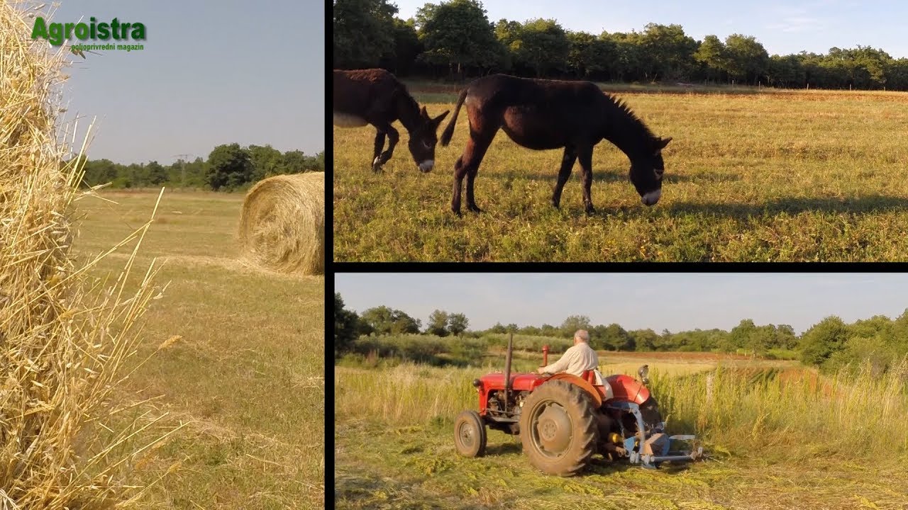 Poljoprivredni magazin Agroistra 28.10.2017.
