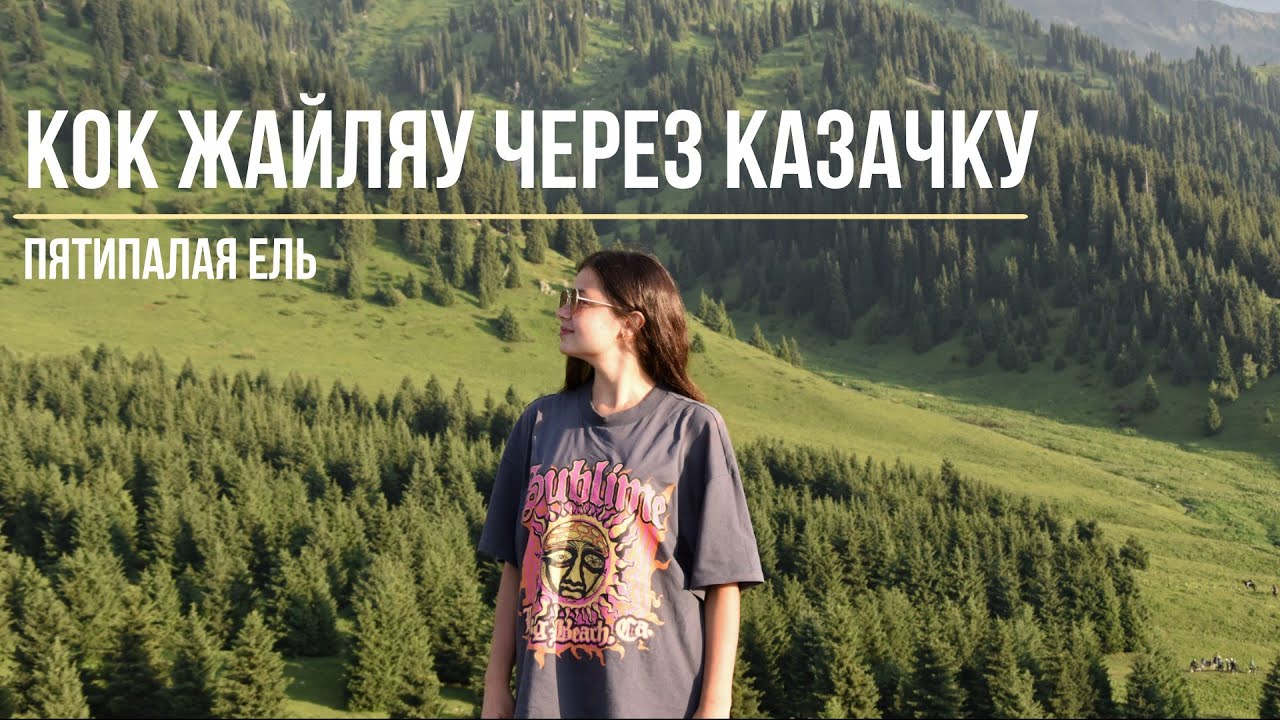 Кок Жайляу | Казачка | Пятипалая ель
