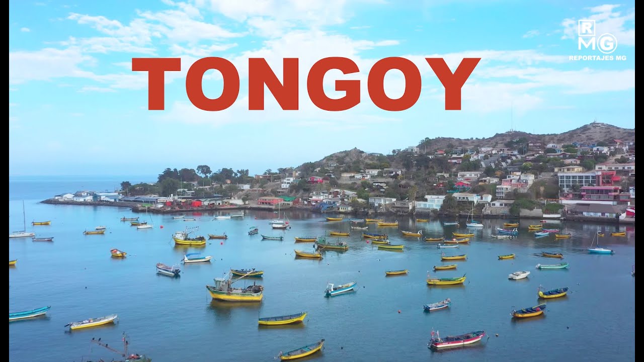TONGOY