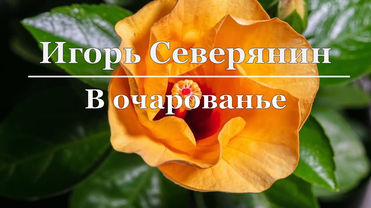 Игорь Северянин - В очарованье