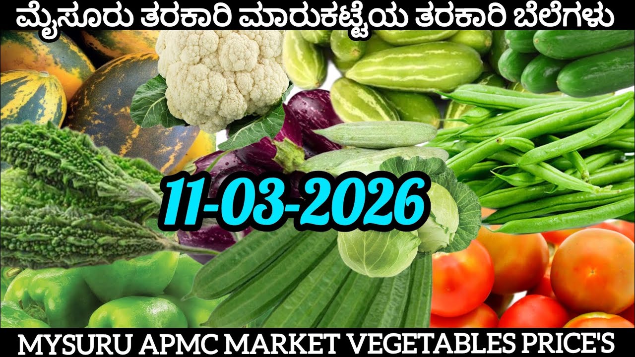 ಇಂದಿನ ||11/03/2026|| ಮೈಸೂರು ತರಕಾರಿ ಮಾರುಕಟ್ಟೆಯ ತರಕಾರಿ ದರ (ಪ್ರತಿ ಕೆಜಿಯ ದರ). #apmc #mysore #vegetables