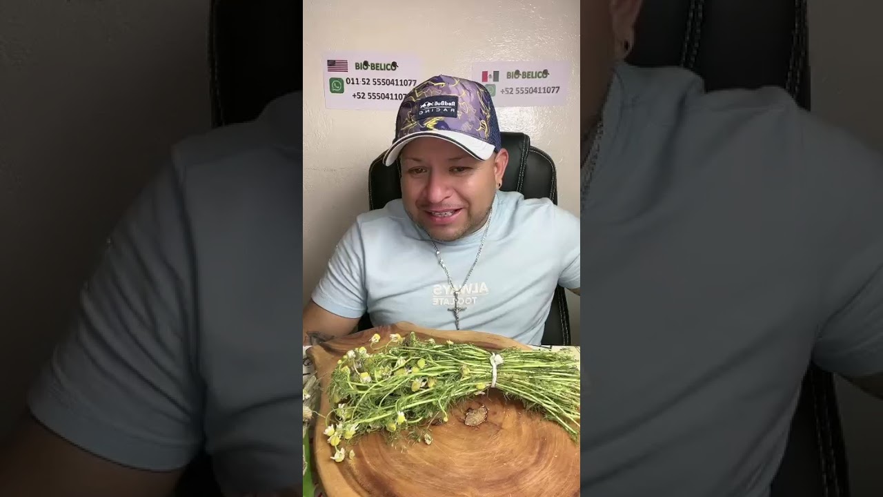 BAJA ESA PANCITA CON ESTA HIERBA QUE TIENES EN TU CASA 