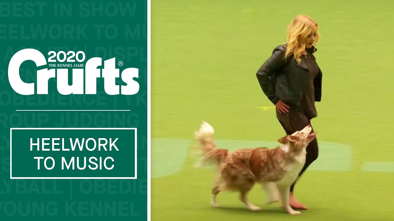 Heelwork To Music Competition - Part 2 | Crufts 2020