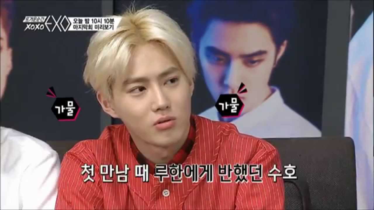 수호의 이상형은 루한인가봉가