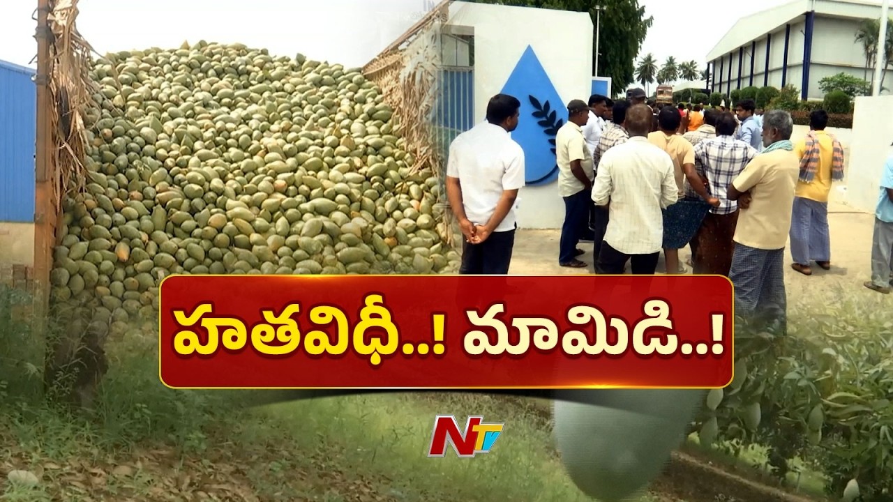 Chittoor Mango Farmers Crisis: Hundreds of Trucks Stuck for Days | Special Report | NTV Telugu