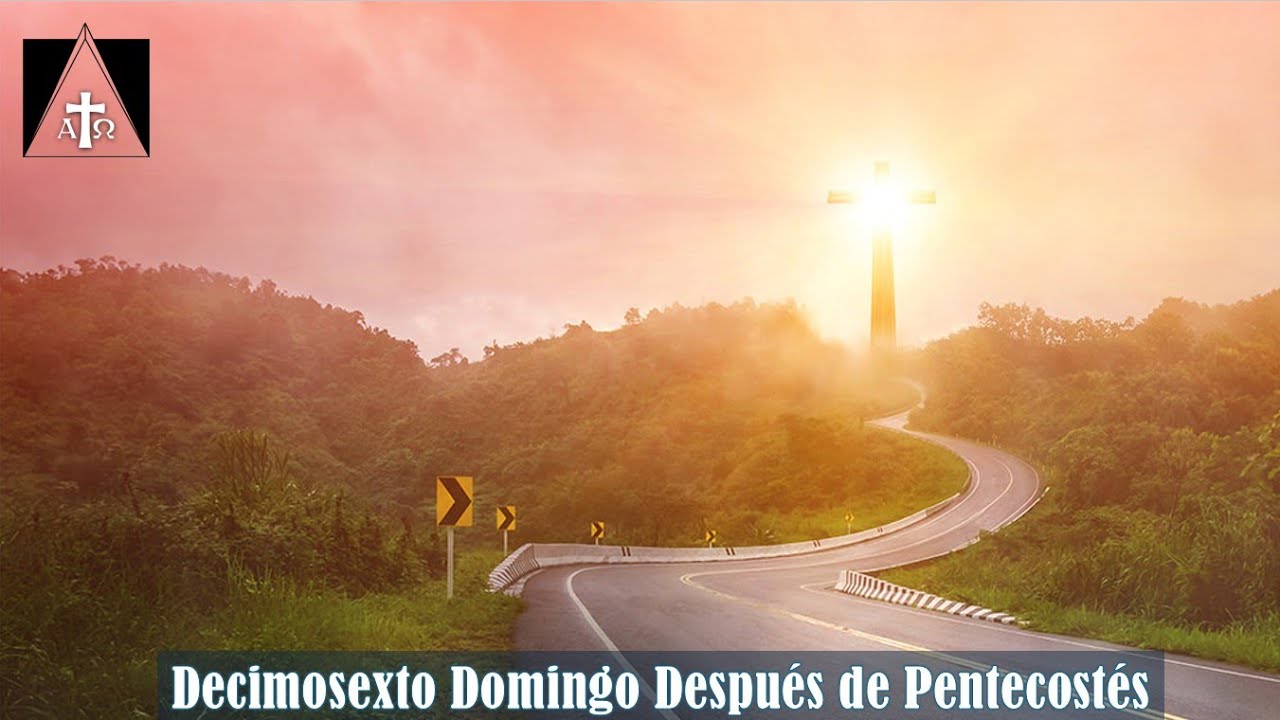 Decimosexto Domingo después de Pentecostés 