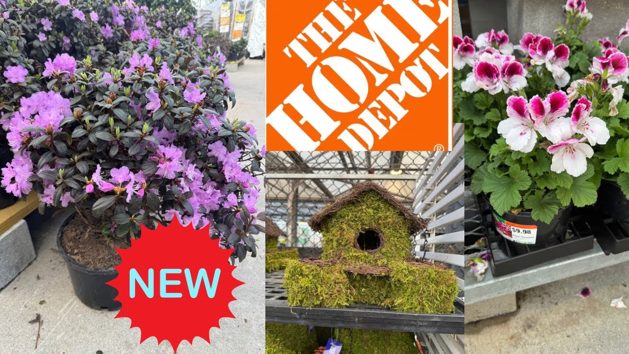 HOME DEPOT BEST NEW PLANTS ARRIVALS FOR SPRING |HOW TO MAKE YOUR GARDEN BEAUTIFUL?