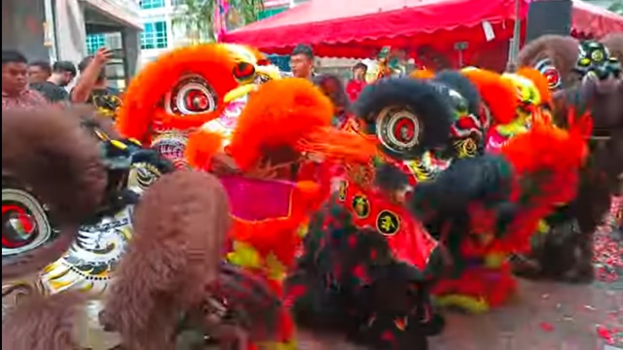 Xuan Long Dragon & Lion Dance Subang Selangor 雪州梳邦《玄龙》舞龙舞狮体育会