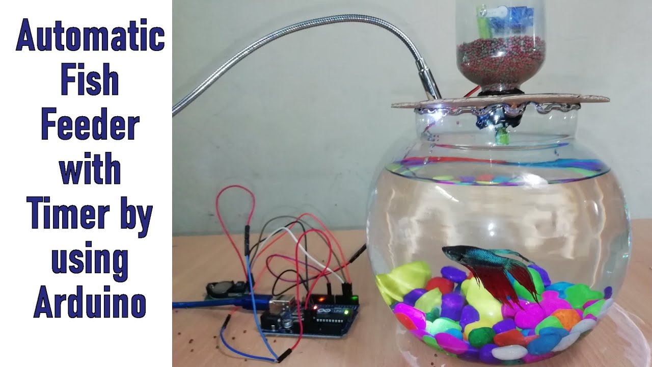 Automatic Fish Feeder Mechanism with Timer by using Arduino || Fish Feeder DIY