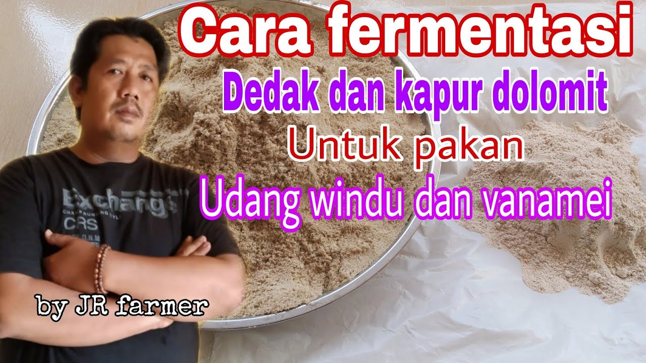 Cara fermentasi dedak dan kapur dolomit untuk pakan udang windu dan vanamei