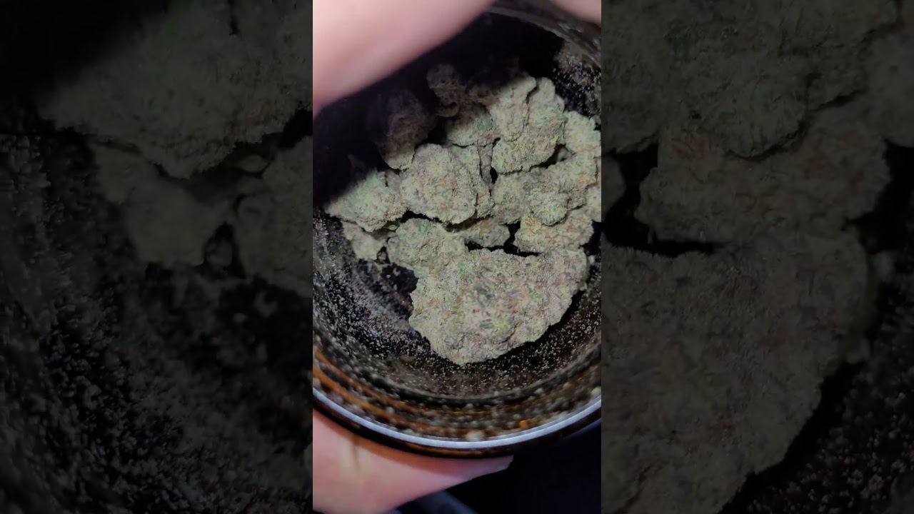enua 25/1 MAC 1 CA Miracle Alien Cookies