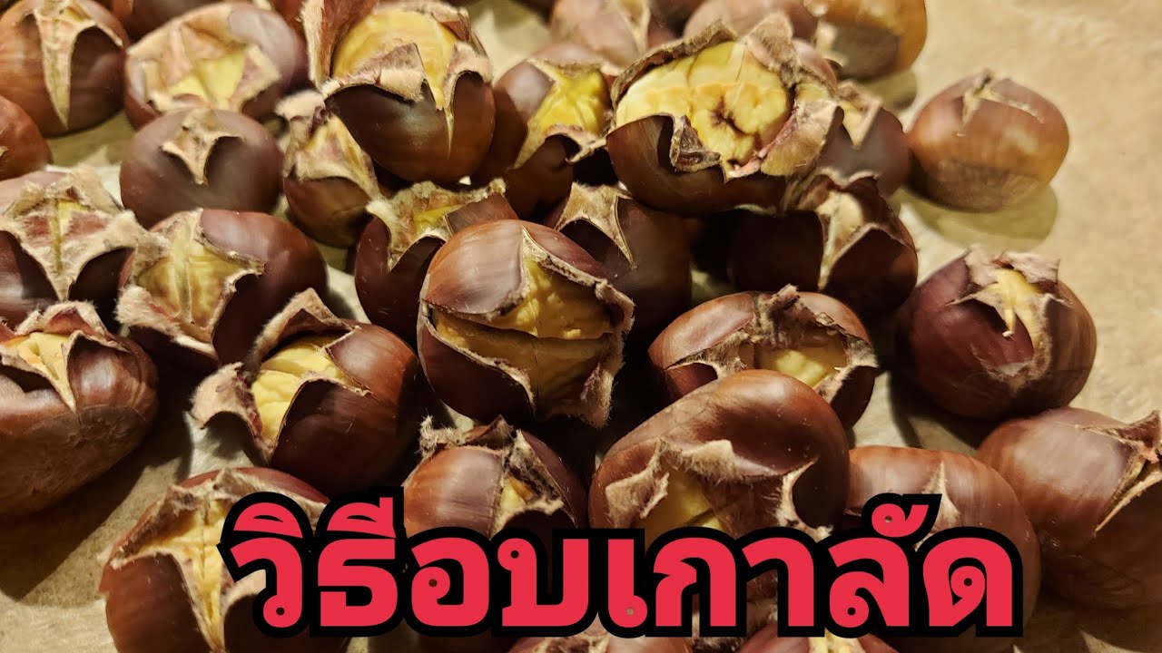 วิธีอบเกาลัดง่ายๆไม่ยุ่งยาก