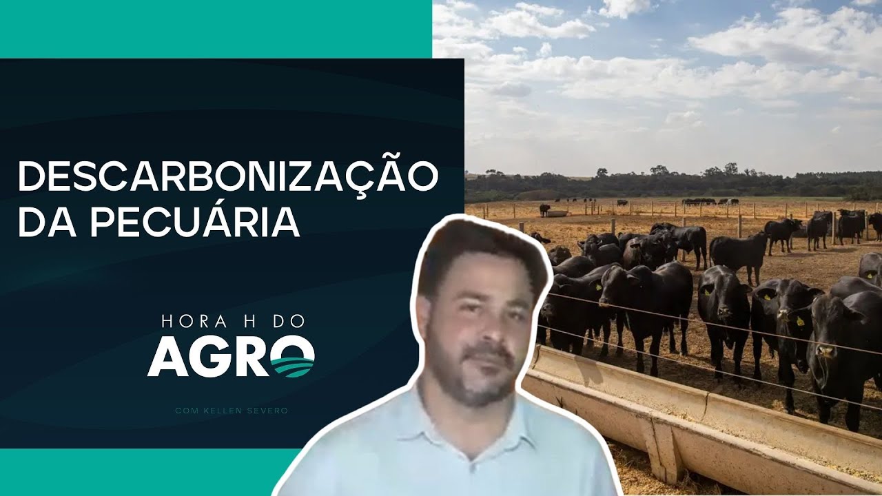 Pecuária brasileira pode diminuir emissão de gases de efeito estufa em 80% até 2050 | HORA H DO AGRO
