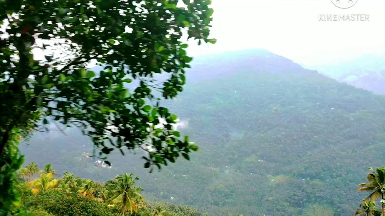 Beautiful View of Kerala ( Pariyar National Park) Photography | #kerala  #photography