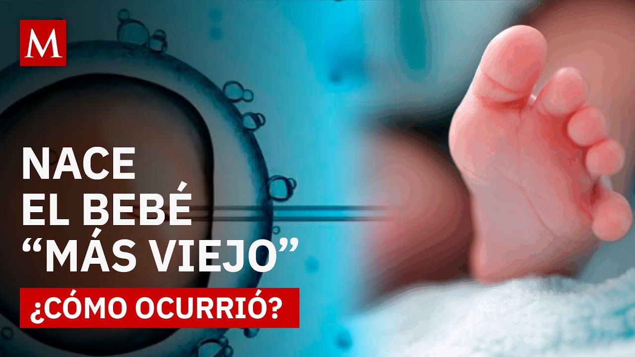 El bebé 