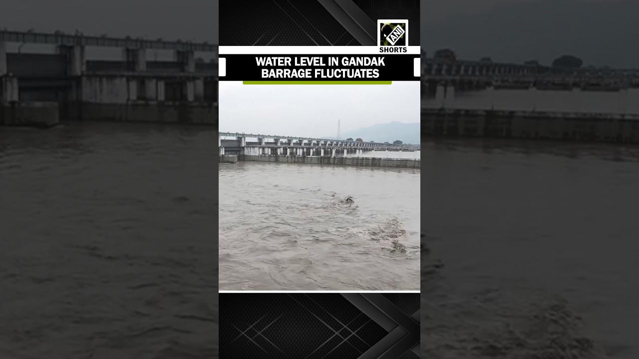 Watch: Water level in Gandak Barrage on India-Nepal border fluctuates following floods in Nepal