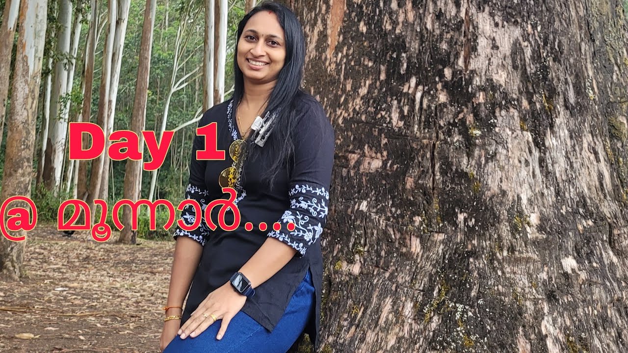 മൂന്നാറിലെ ആദ്യ ദിനം... #ourheavenbyarya #aryanishad #munnar #travelvlog #tour #trendy 