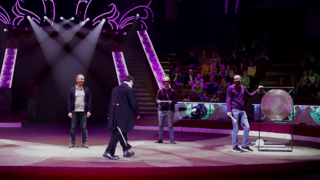 Davis Vassallo. Crazy Orchestra. Nikulin Circus 2020