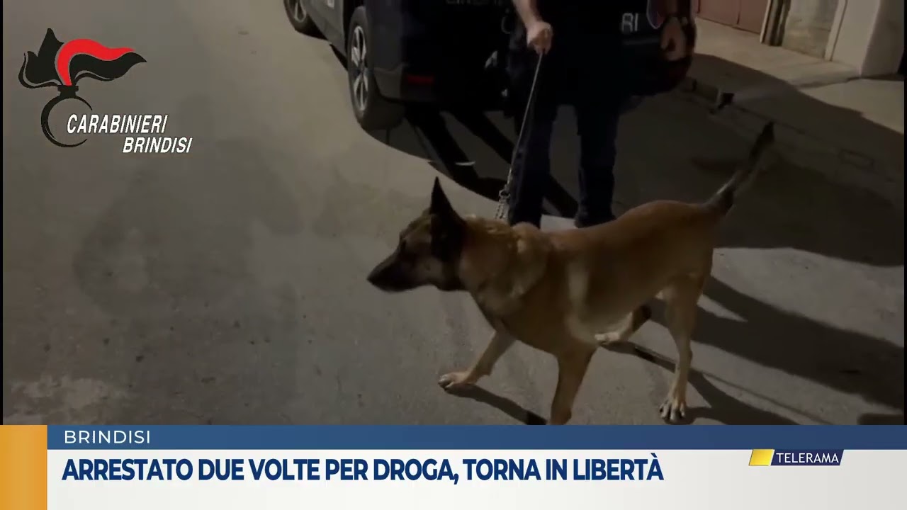 Arrestato due volte per droga, torna in libertà