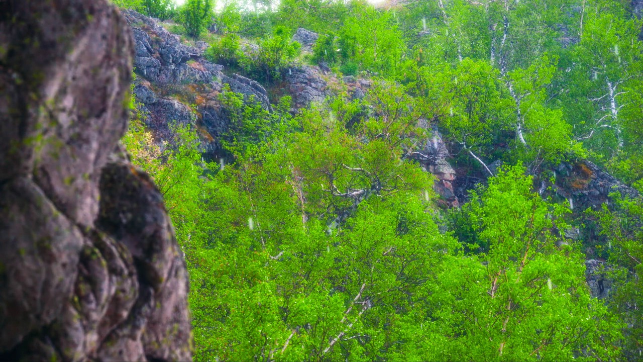 Лето на Урале под дождём - Часть 16 | 4K Горы, Лес, Дождь и Гром — Глубокий Релакс