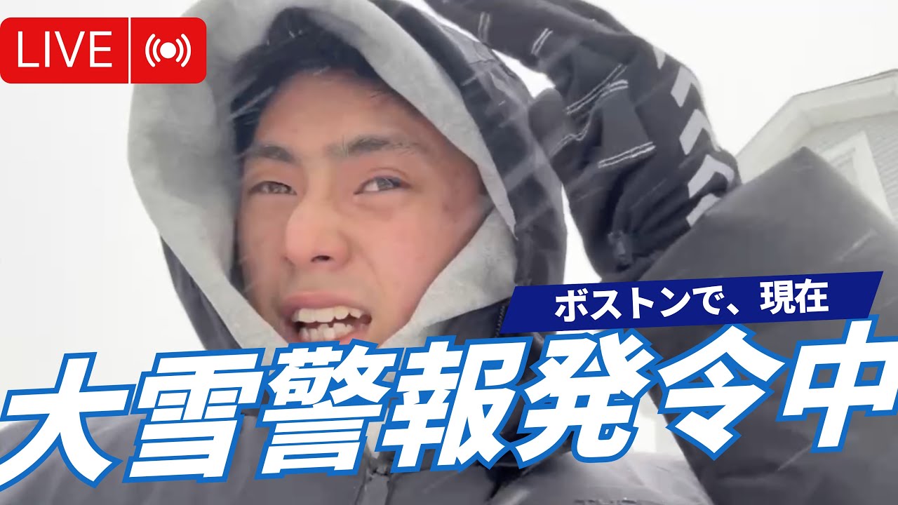 緊急🚨　ボストンで現在大雪警報発令中🌨️