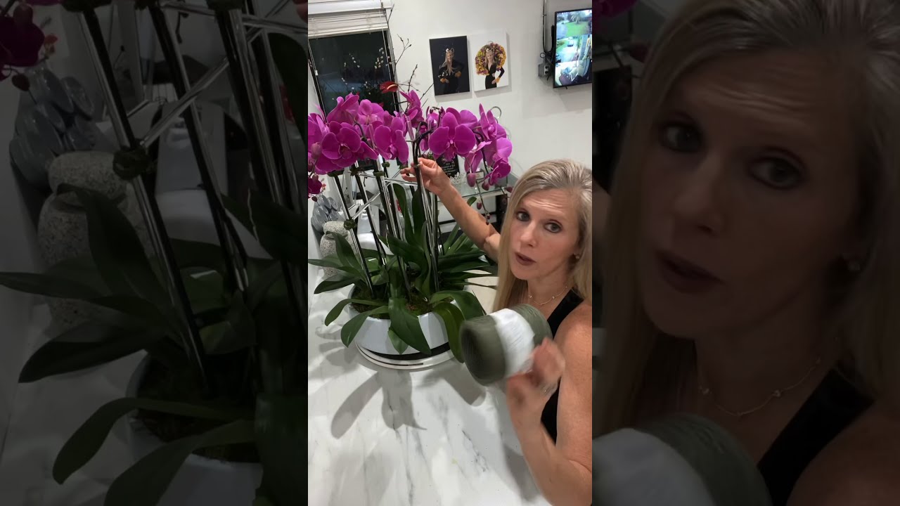 Real orchid arrangement tutorial