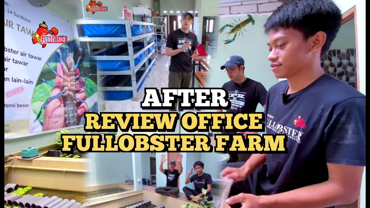 Review 4 Jenis Kolam Budidaya Lobster air tawar di Office Farm Fullobster, Akhirnya Pembangunan Done