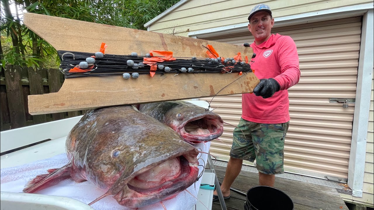 Hand Lining MONSTER Catfish! (Catch Clean & Cook)
