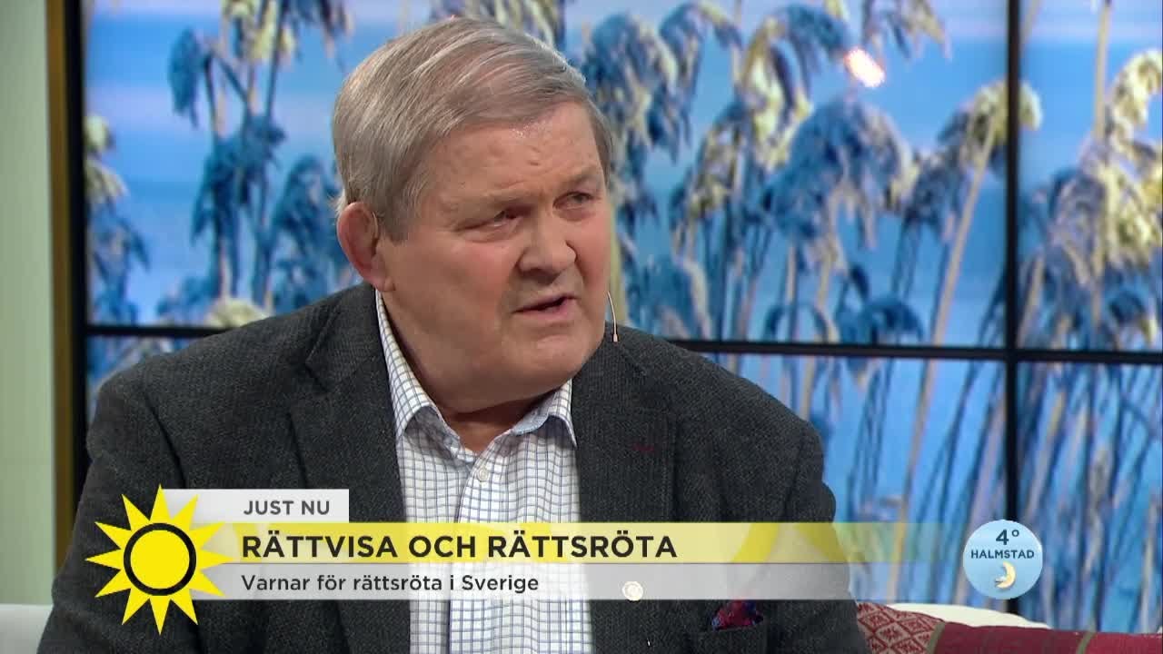 Kändisadvokaten: Jag har löst Palmemordet och jag vill ha pengarna - Nyhetsmorgon (TV4)