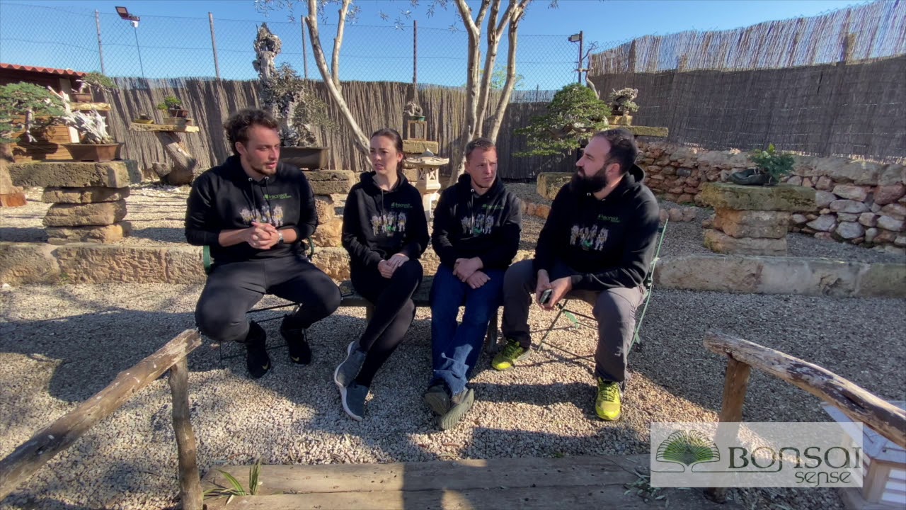 Bonsai talk with Antony, Josh & Jessica